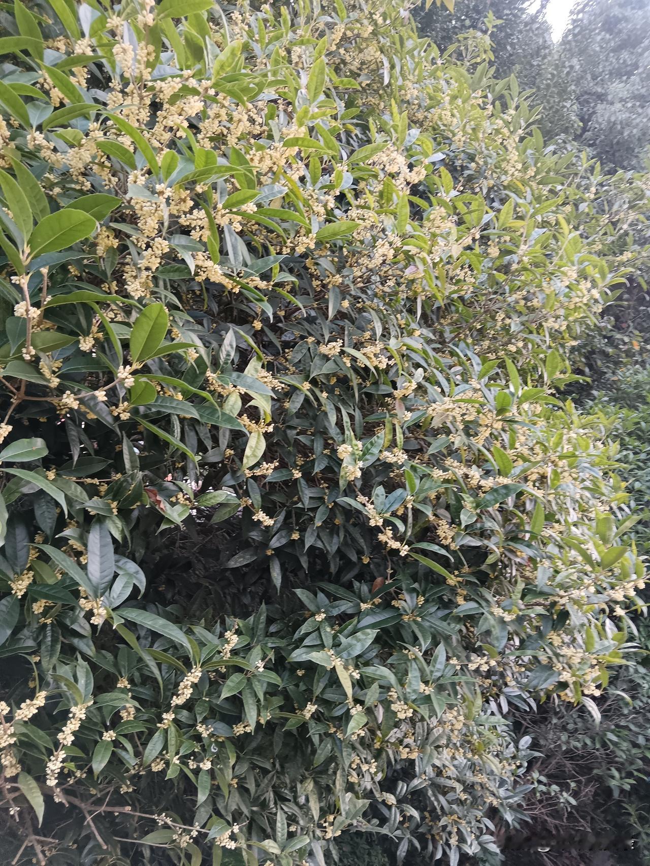 @豆包 帮我点评