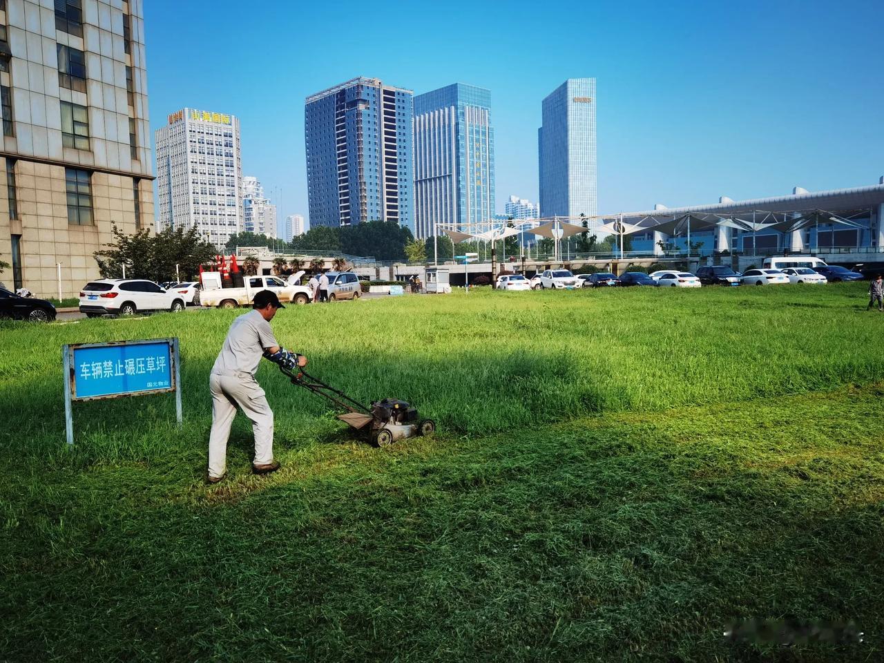 公园随手拍整理草坪！连云港！