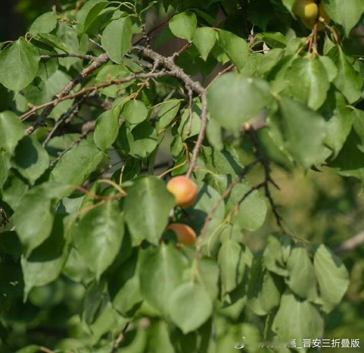 阳光信用[超话] [手指比心]阳光信用 善良是一种修养，善待他人就是善待自己，要