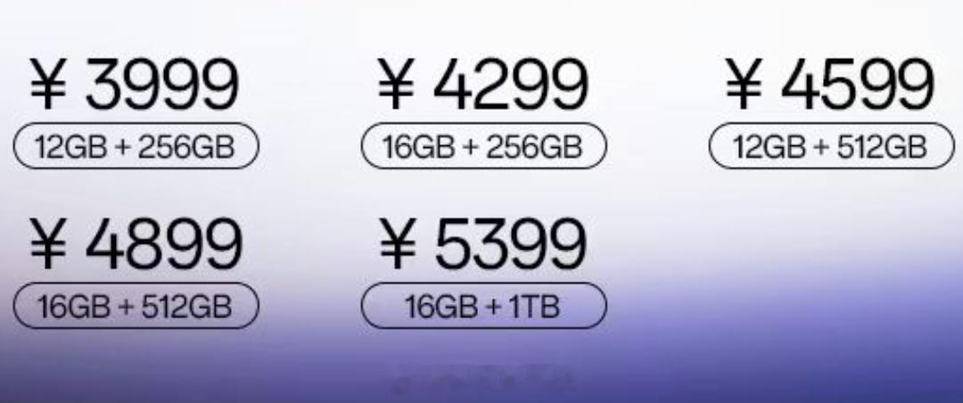 四千价位买国产旗舰机，肯定想用的更久一些，12+256GB和16+256GB这两