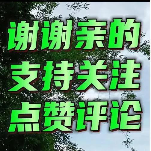 给友友们2026年马年的祝福：
     微头条
万马奔腾好运到，
策马扬鞭如意