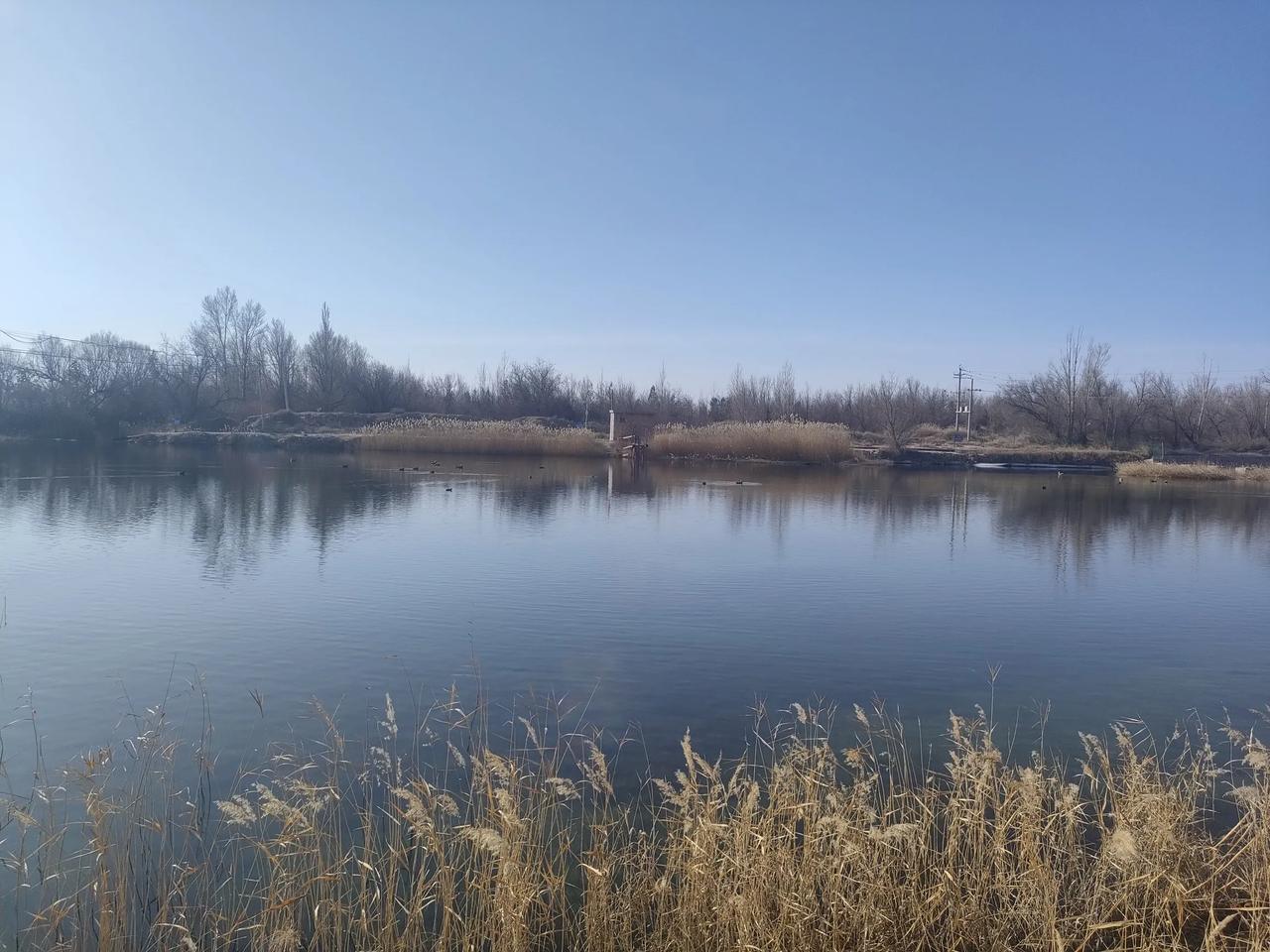 不知其名的水塘

野鸭嬉戏的这个塘子我不知其名
而我还在找寻那天的冰凌
它却映射