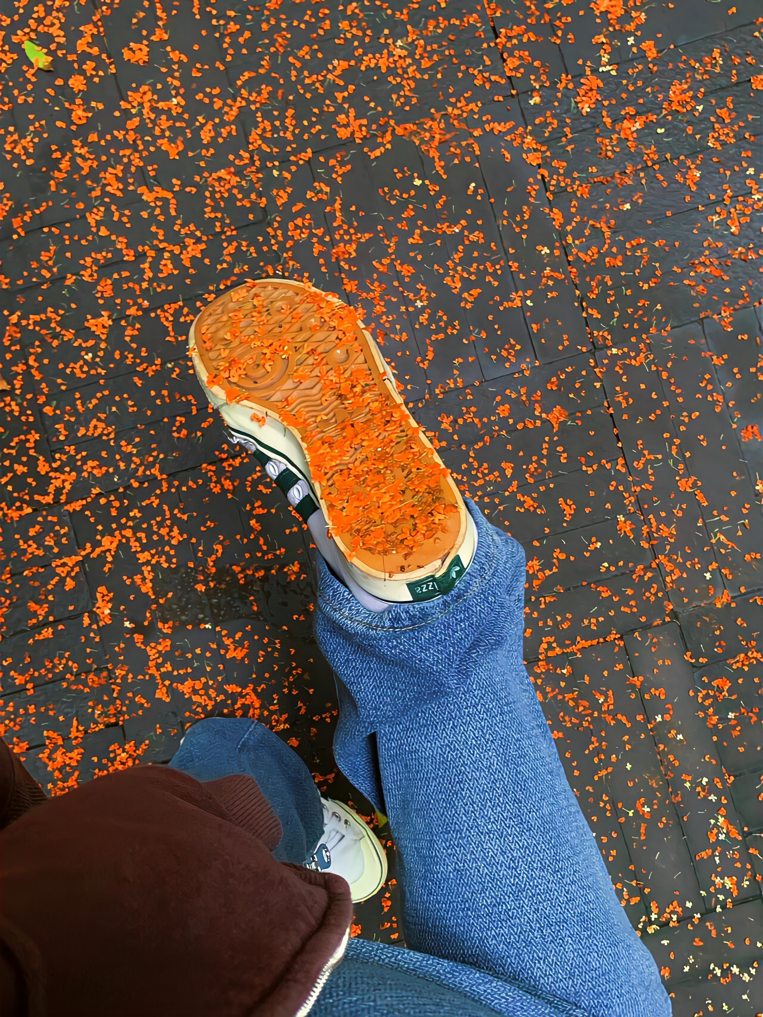 秋的味道 ​​​