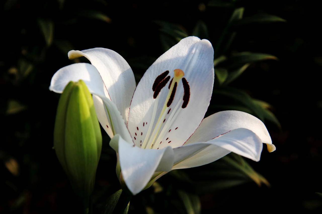 感谢你的分享👏👏👏真相信一机在手，百事无忧？！还是多种准备好！[耶][耶]