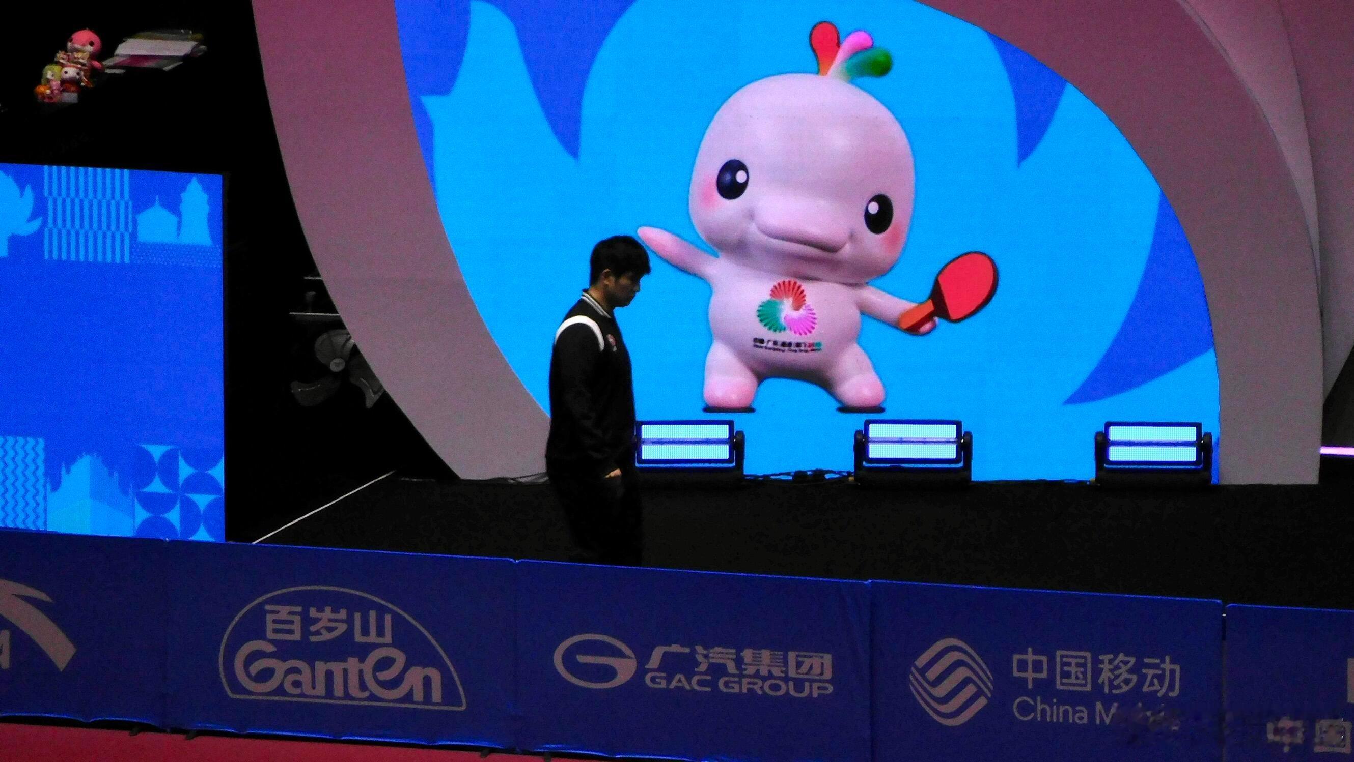 允许被大湾鸡摸摸头 