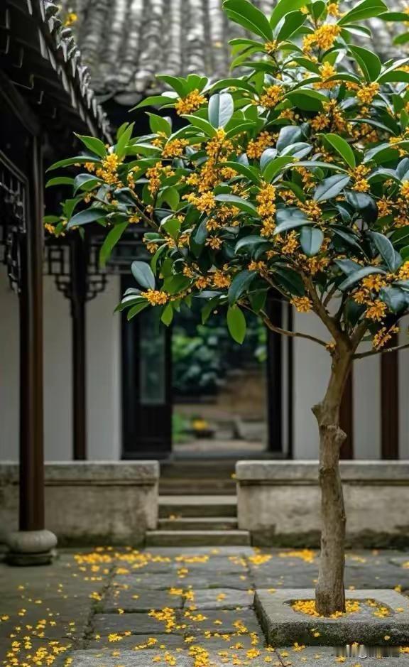 秋日生活打卡季 以前总觉得每天要填满行程才算没浪费，现在才懂秋天就是来劝人松劲的