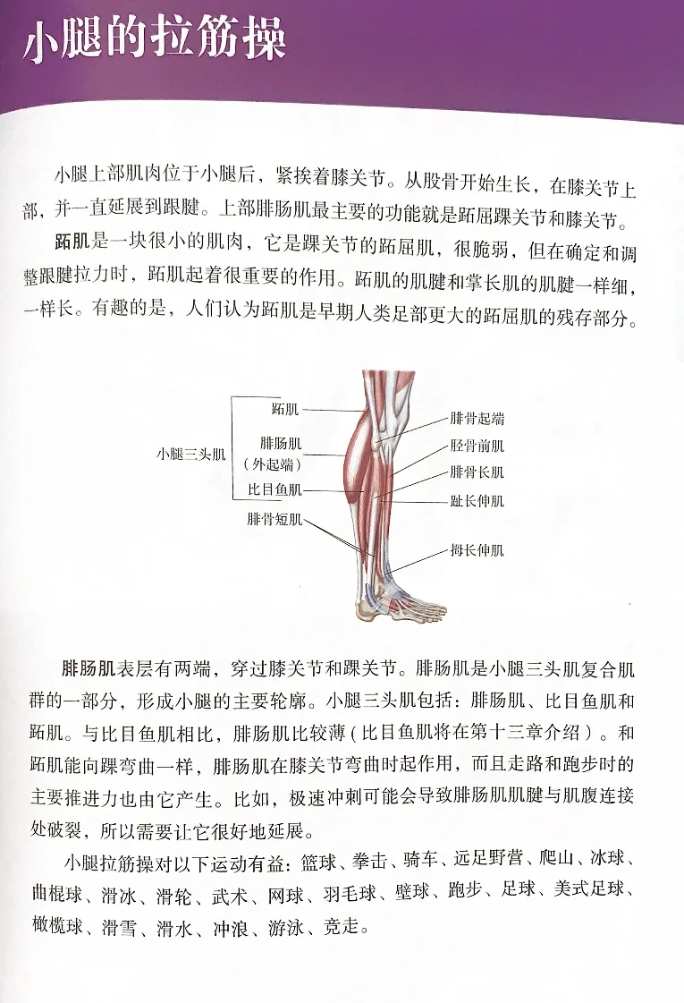 这些肌肉与跑步紧密相连🏃🏻‍♂️