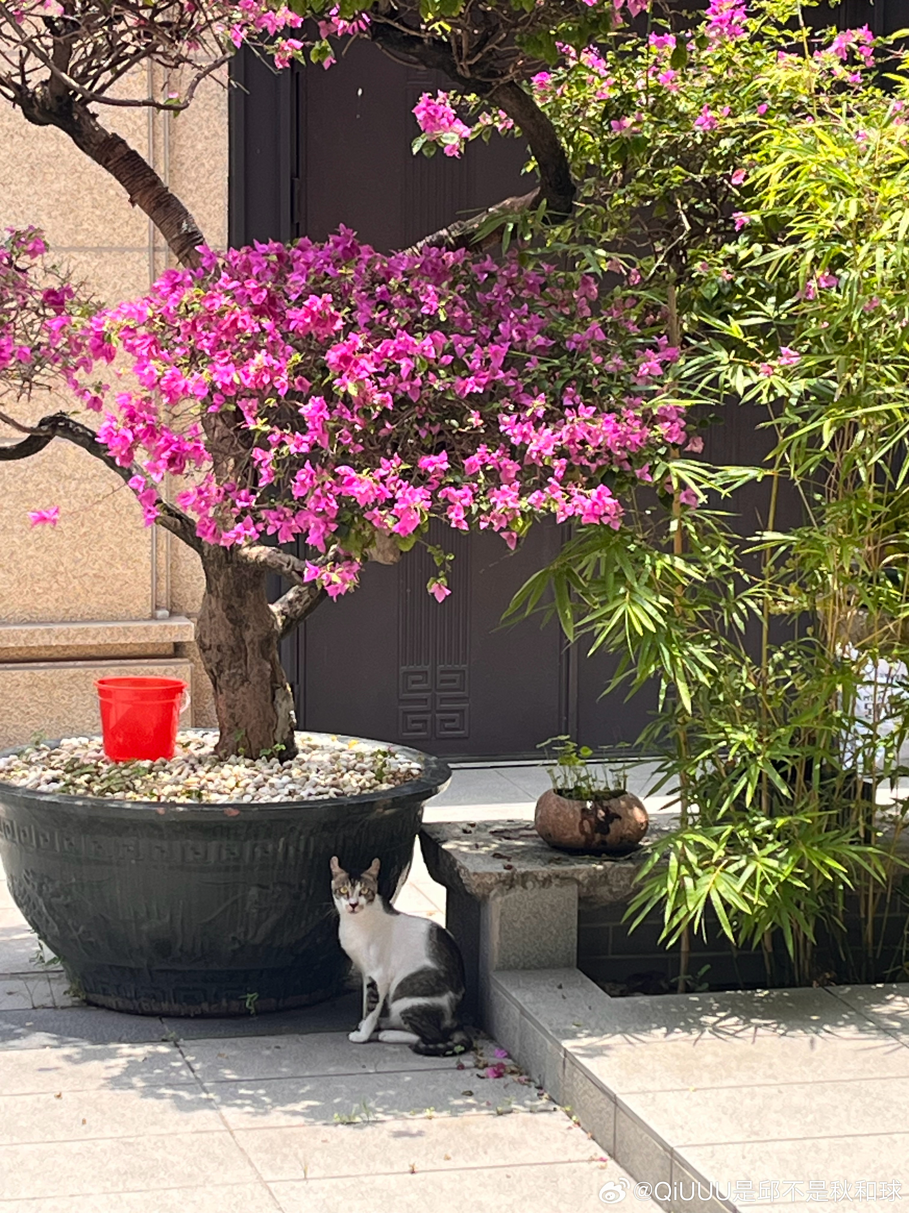 丑小满 
