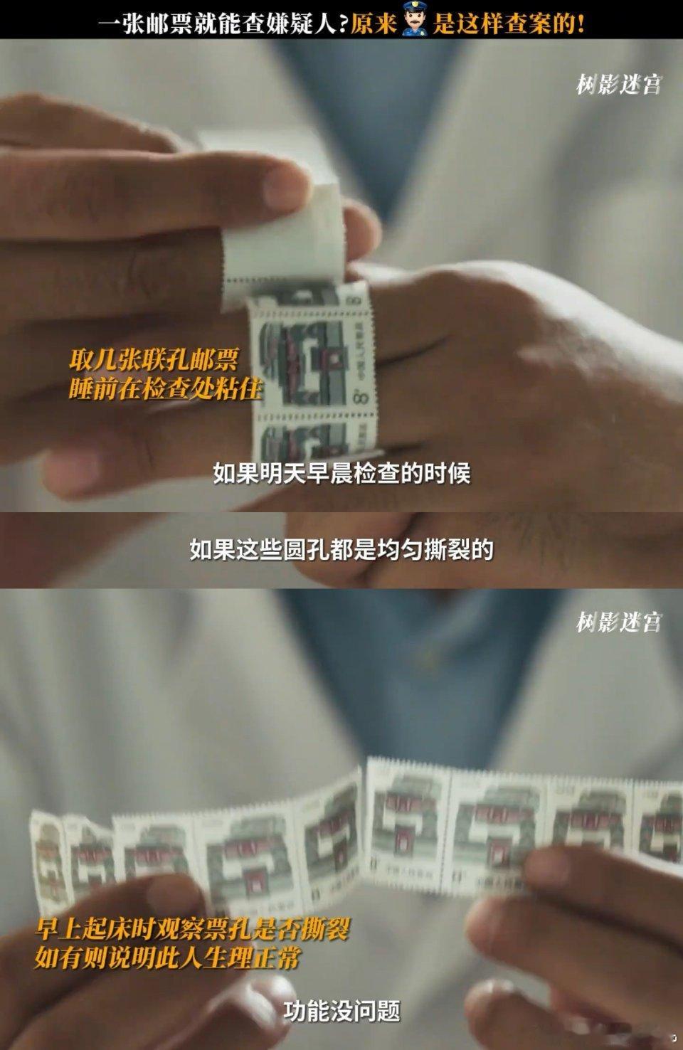 这部剧不能和家长一起看《树影迷宫》一边是少女虐鲨案的血腥现场，一边是亚当夏娃店的