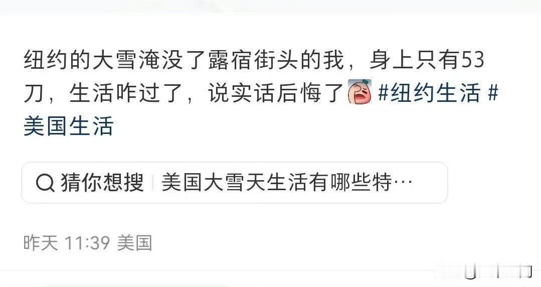 有润人发文说纽约的大雪淹没了露宿街头的它，身上只有53美元，不知道生活咋过了，说