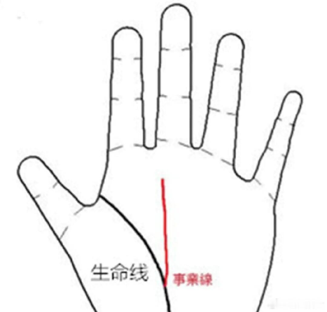 中年发力的手:手掌上事业线半路杀出。正常人的事业线是从底部收腕处往上长，但有些人
