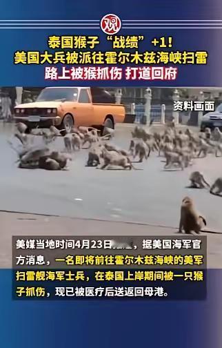 谁能想到，武装到牙齿的美国大兵没倒在中东的枪林弹雨里，反而栽在了东南亚街头的一只