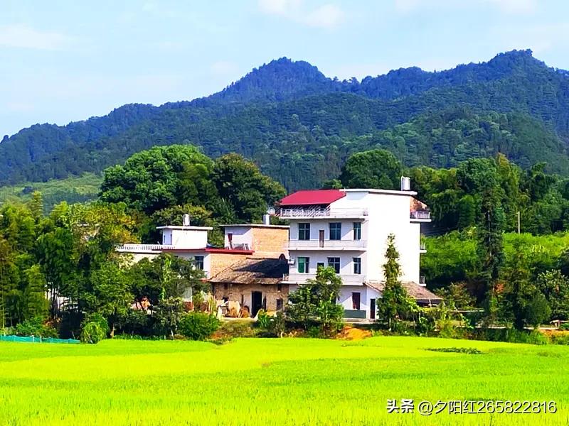 以前的农村乡村情，那可真是让人怀念。小时候在农村，邻里之间亲如一家。农忙时节，大