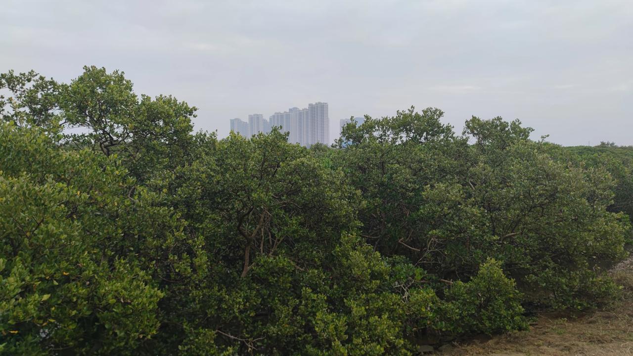 今天刷到一位长期养老居住在防城港的朋友总结的在防城港居住地点的优缺点。最后精简的