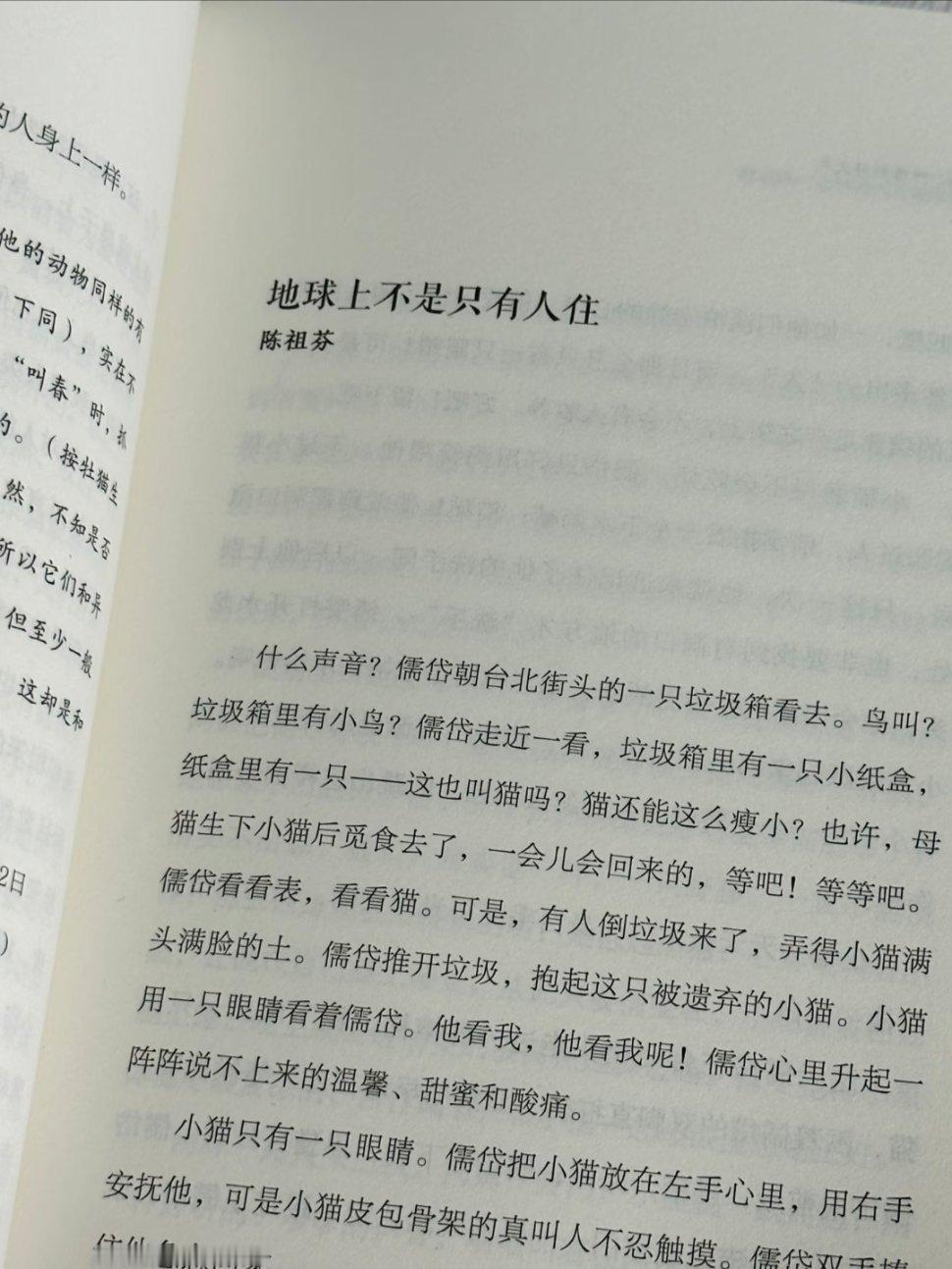 心情烦躁的时候，你就看这本书吧！太治愈了 