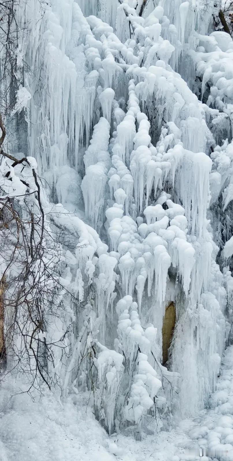 山东的昨晚，创造了整个冬天的大风低温记录，但也创作出在我们山东，唯有冬天才会偶尔