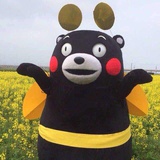 小灵灵吹汽车