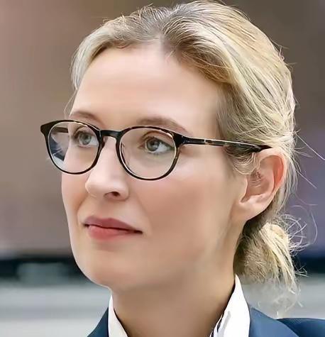 当冯德莱恩还在坚持强硬援乌立场时：魏德尔的话如一声惊雷震响欧洲政坛！

6月9日