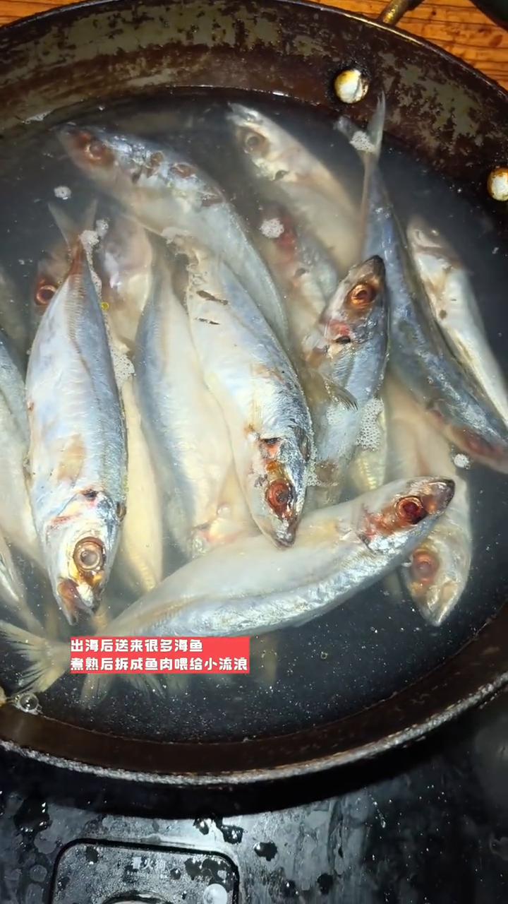 五一假期您给流浪猫改善伙食了吗？
五一小长假，您给流浪猫改善伙食了吗？朋友知道我