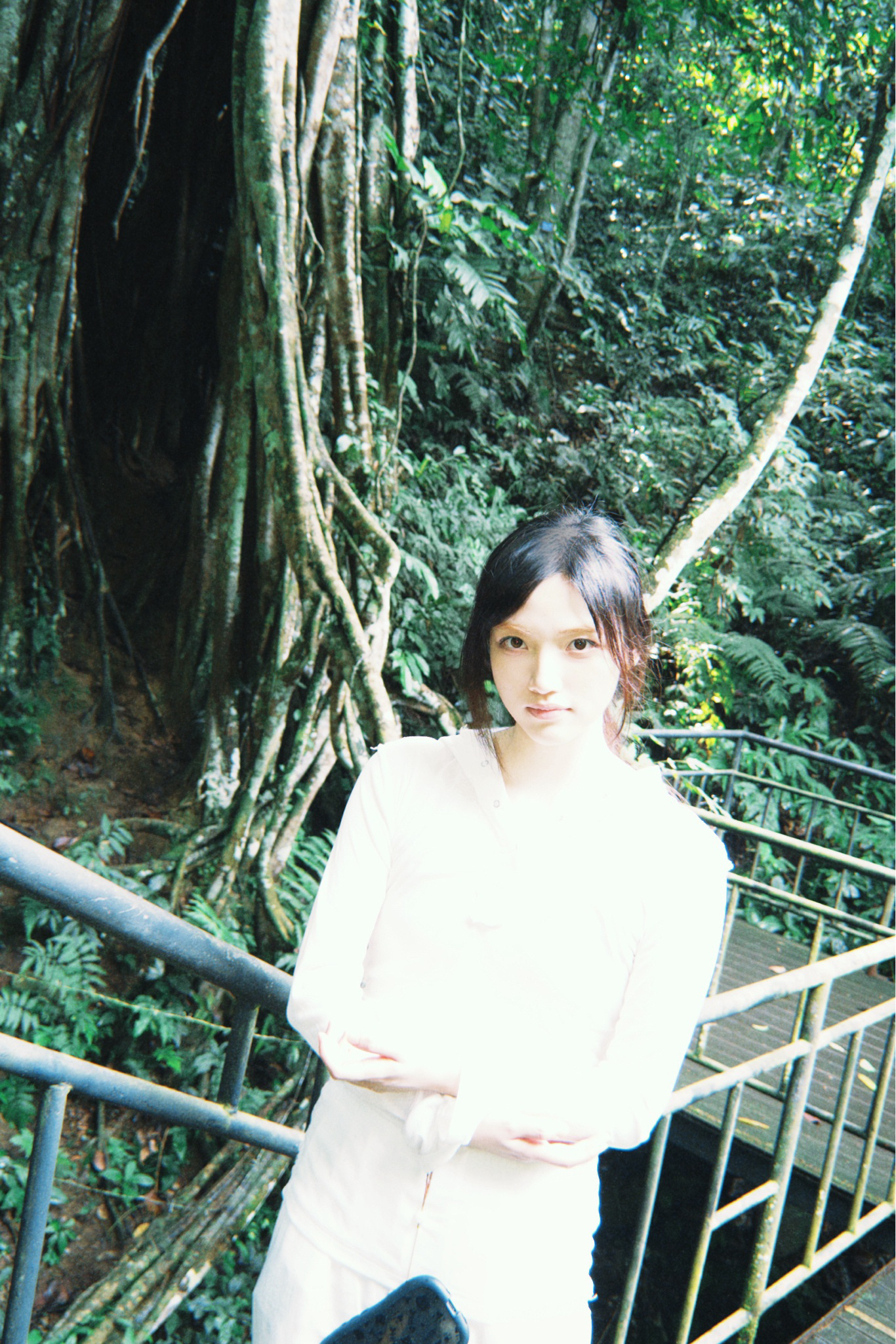 敬森林  ​​​