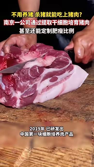 又要变天？南京科技公司“种”出猪肉，不养猪不杀猪，几天就能吃！
 
提到吃肉，千
