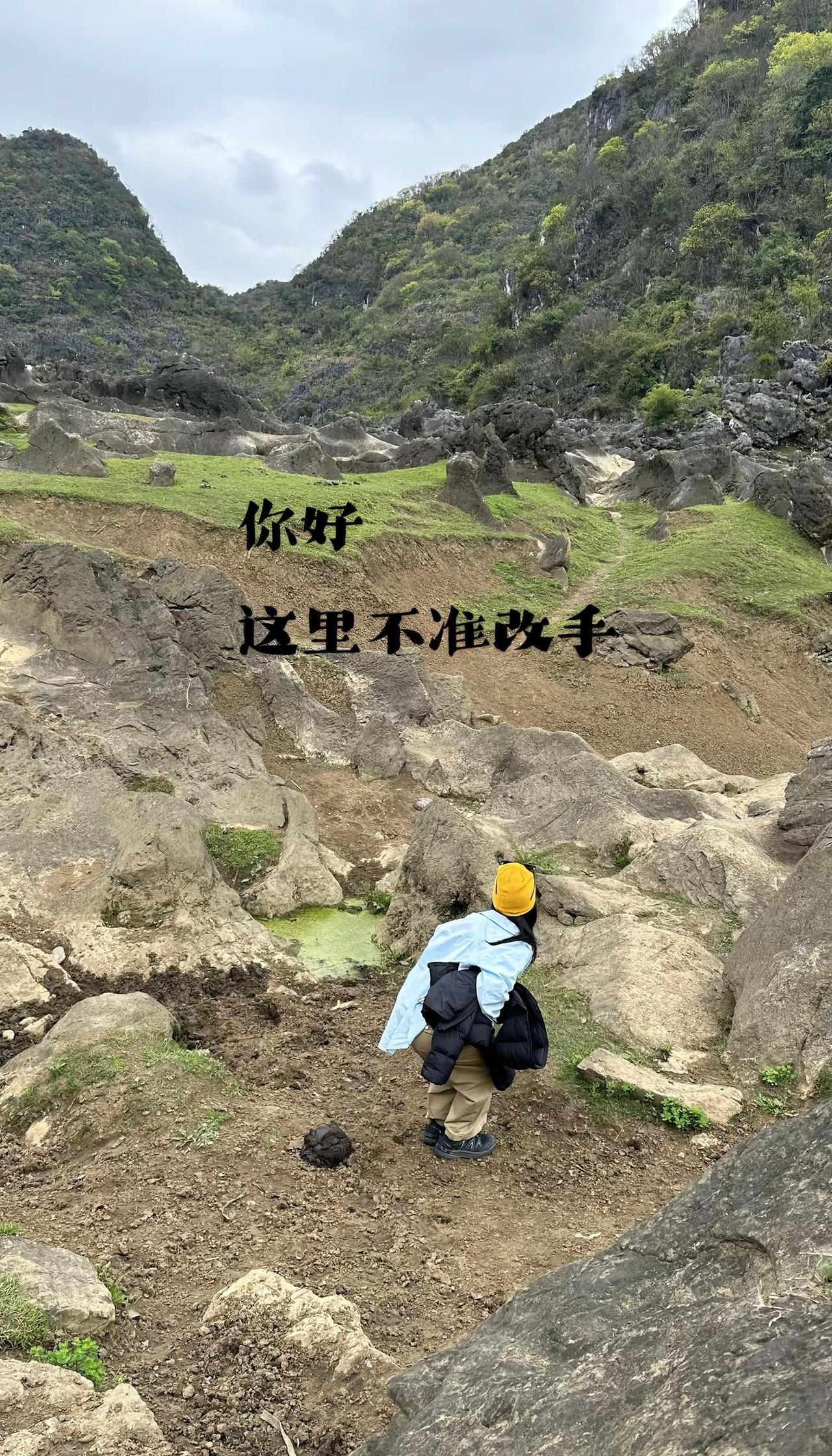 你好！这里不准改手 是牛也不行！ 城市牛马 铜鼓荡 创意照片 p图