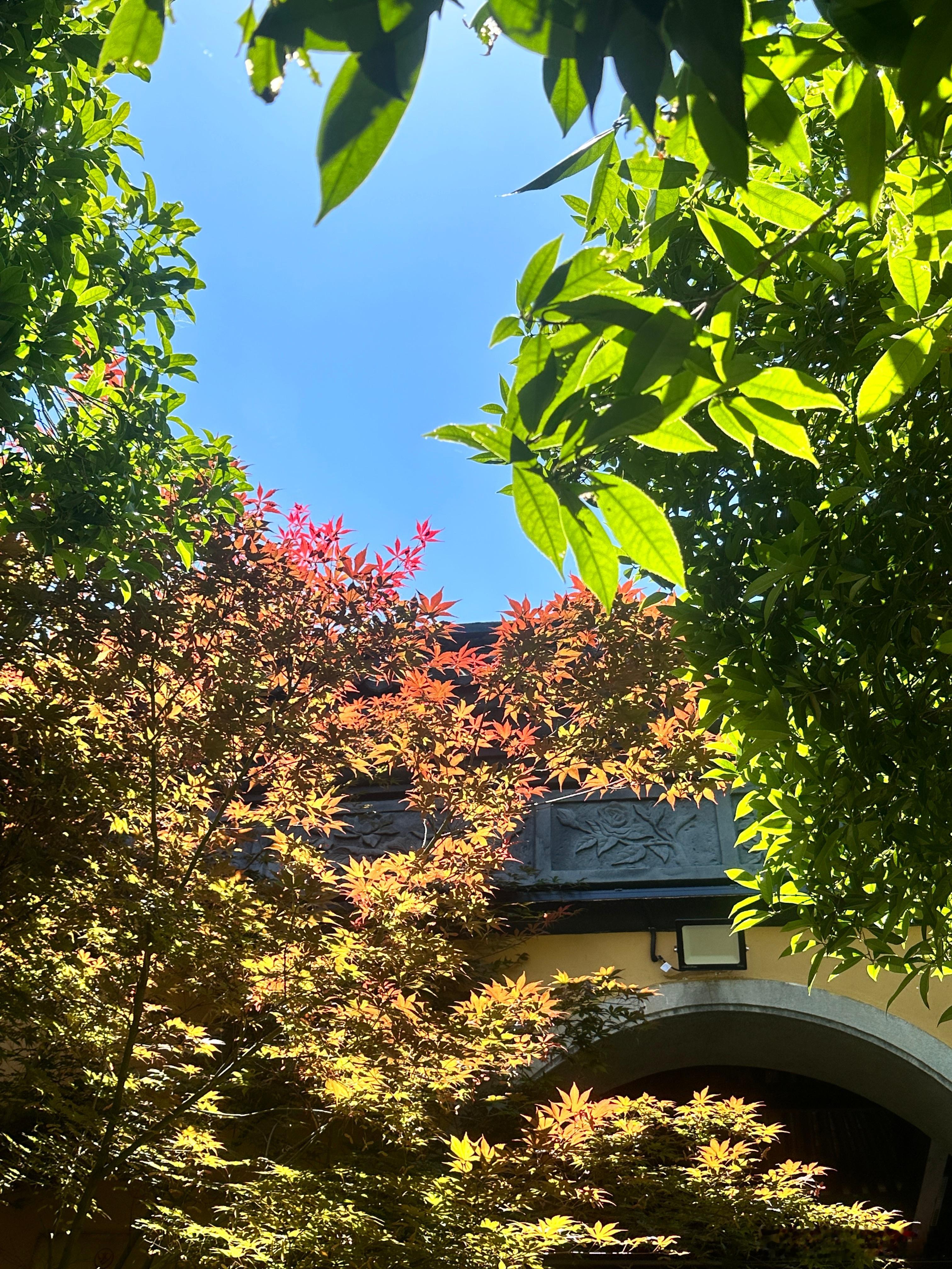 今日天气晴 适合出门