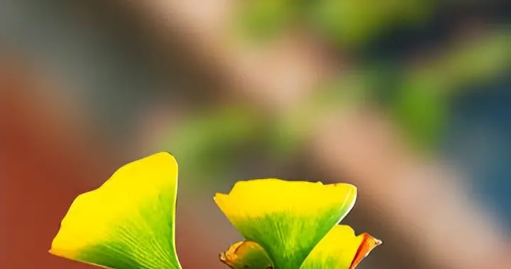 今日，立秋