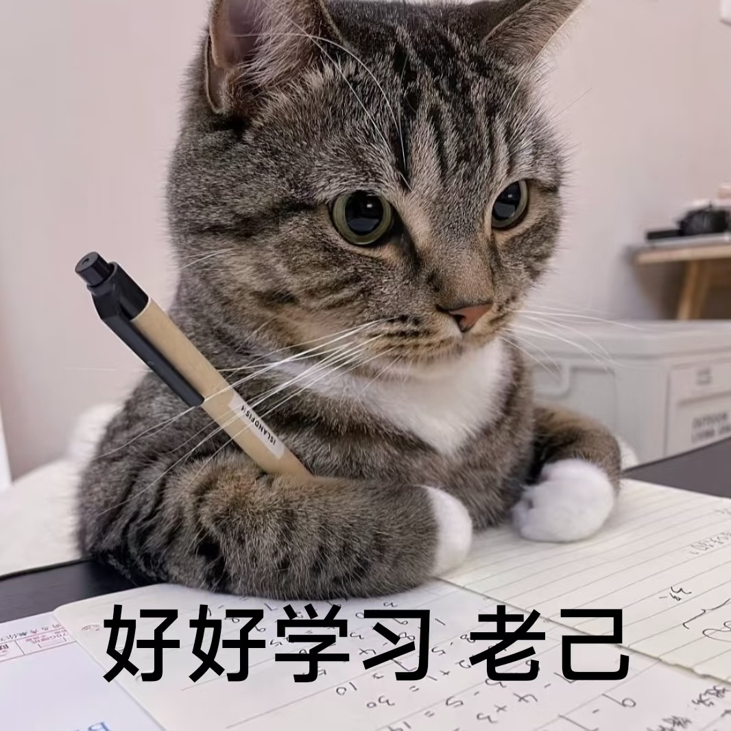 学信网的含金量还在上升不玩那些新潮的网站 