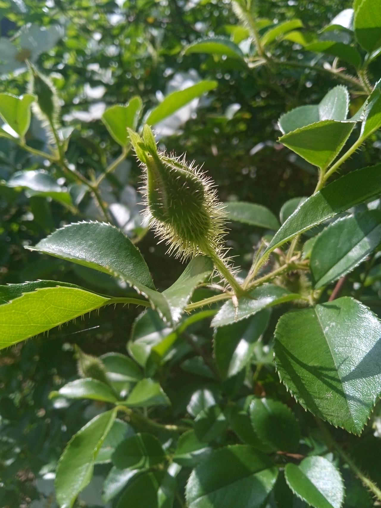 “我一个人想怎么样就怎么样不香么？为什么还要找个人搭钱供房再养个娃？”当被问到老