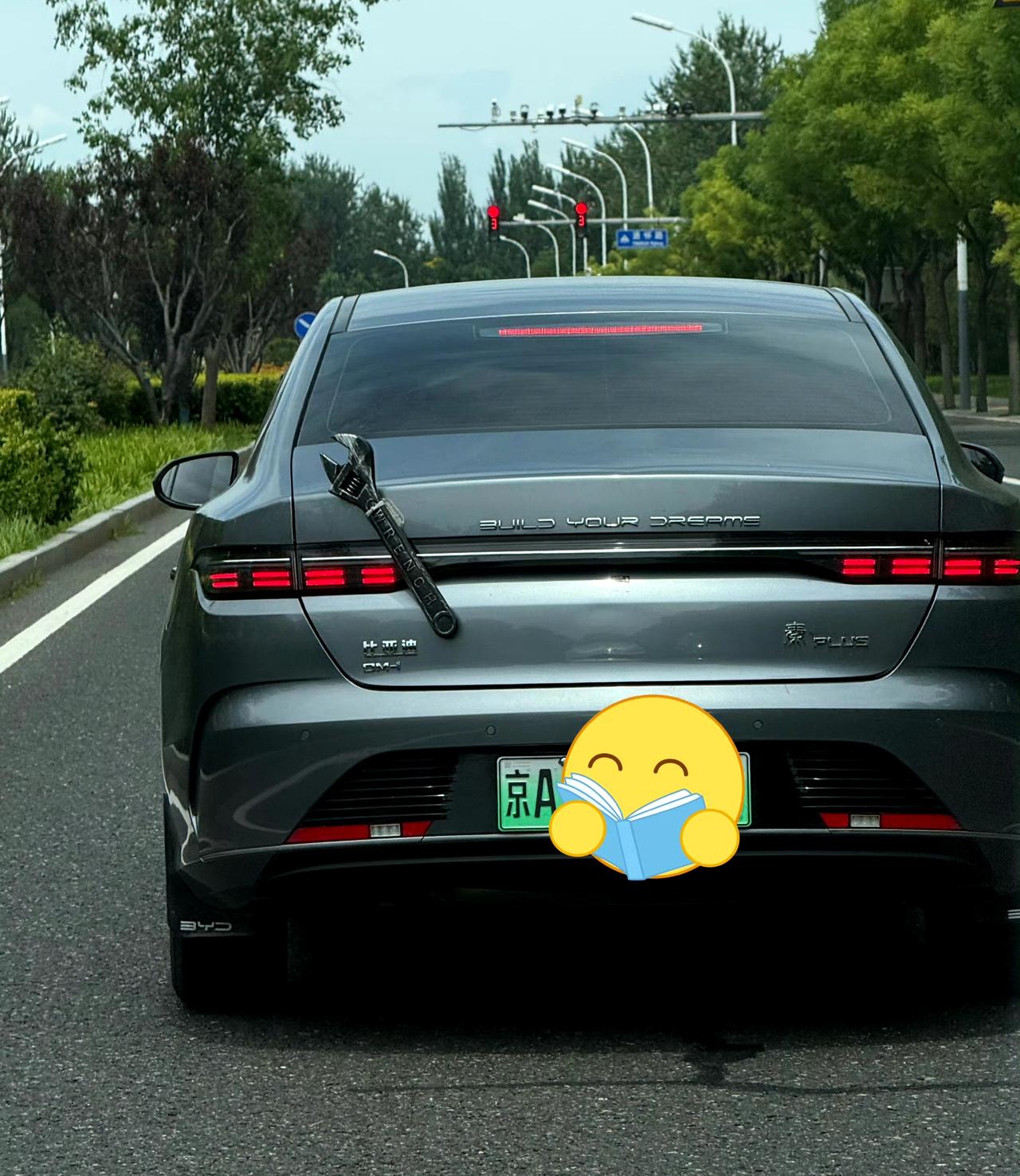网友：路上遇到一辆比亚迪秦，一看这绝对是一辆个人用车，车主还挺有活的。
不知道大