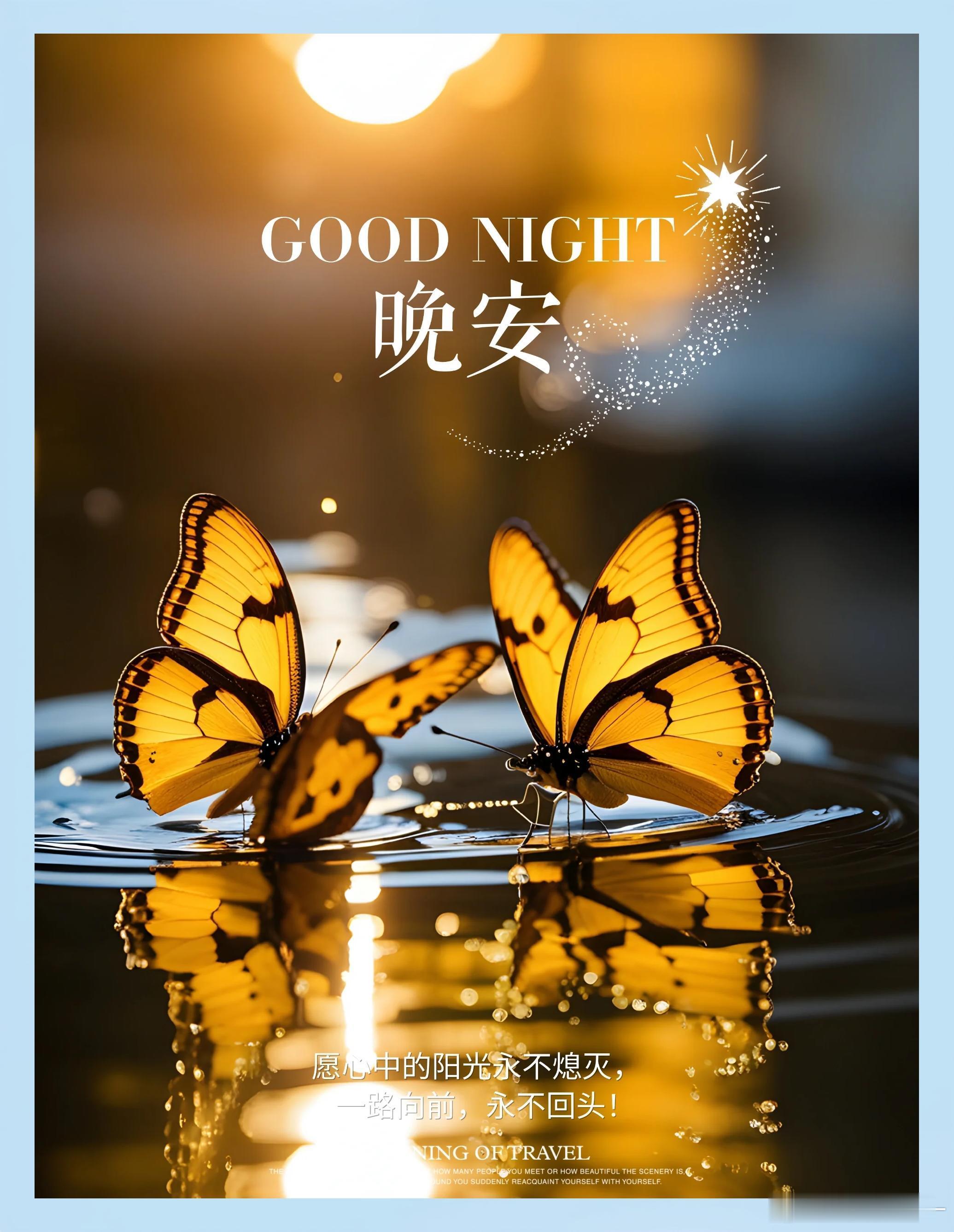 晚安夜深人静是自由，清晨起床是生活，晚安！ 