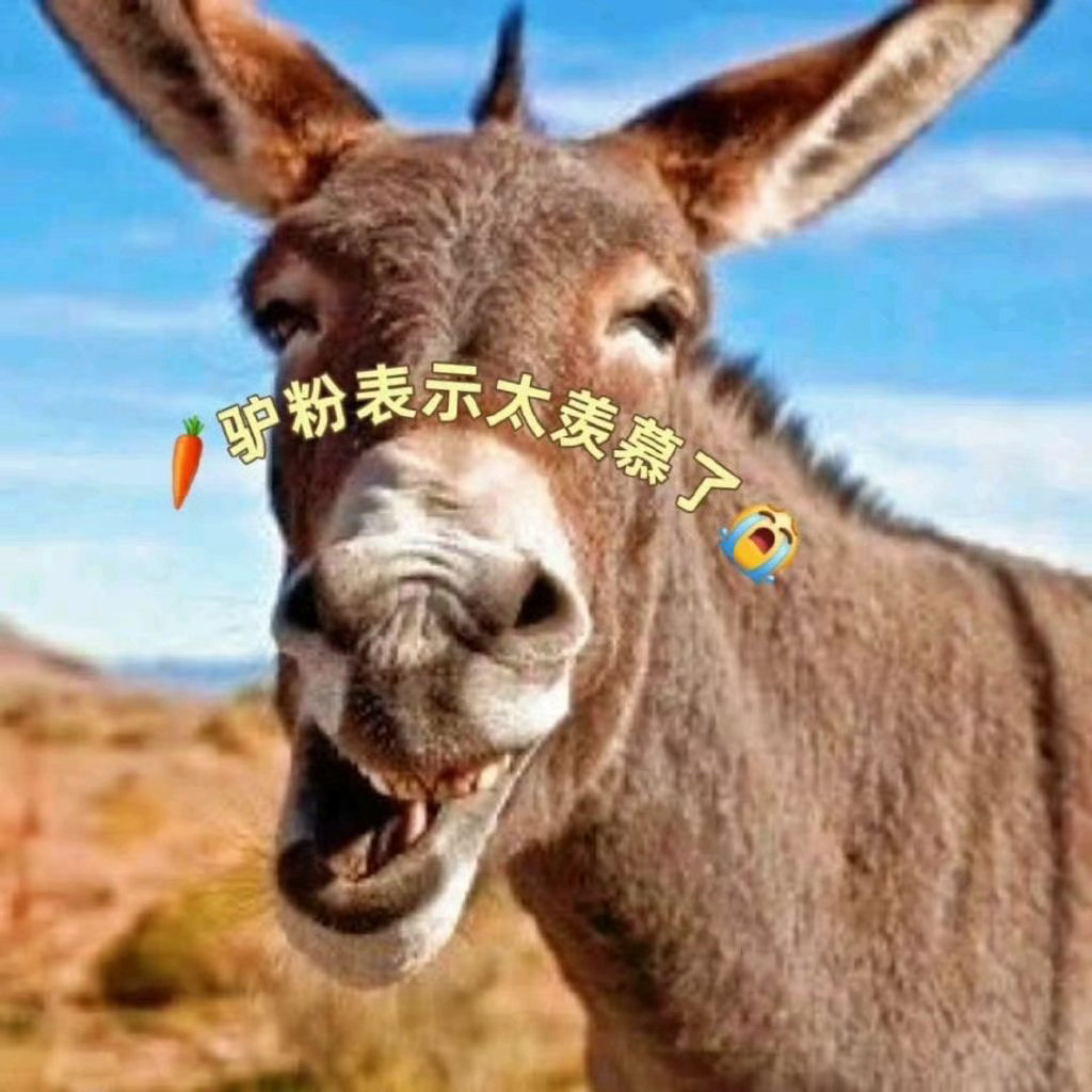 不告巴粉你和巴粉一起下去🕯️