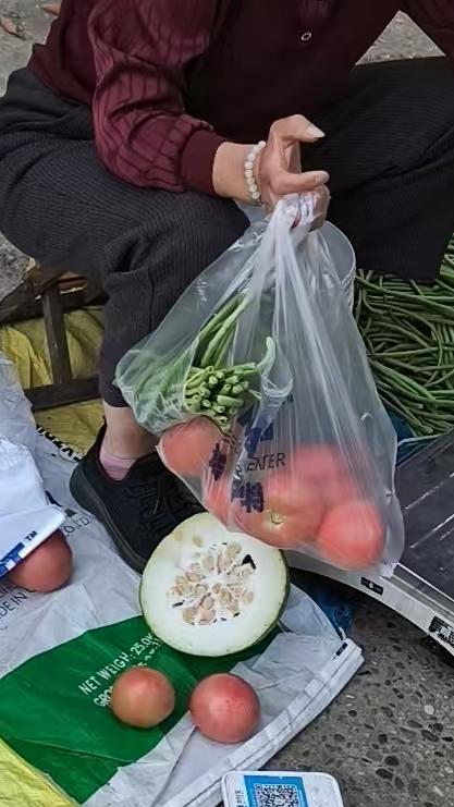 想想也是，现在大家都追求健康，这种绿色蔬菜确实很有吸引力。而且这些小商小贩靠着自