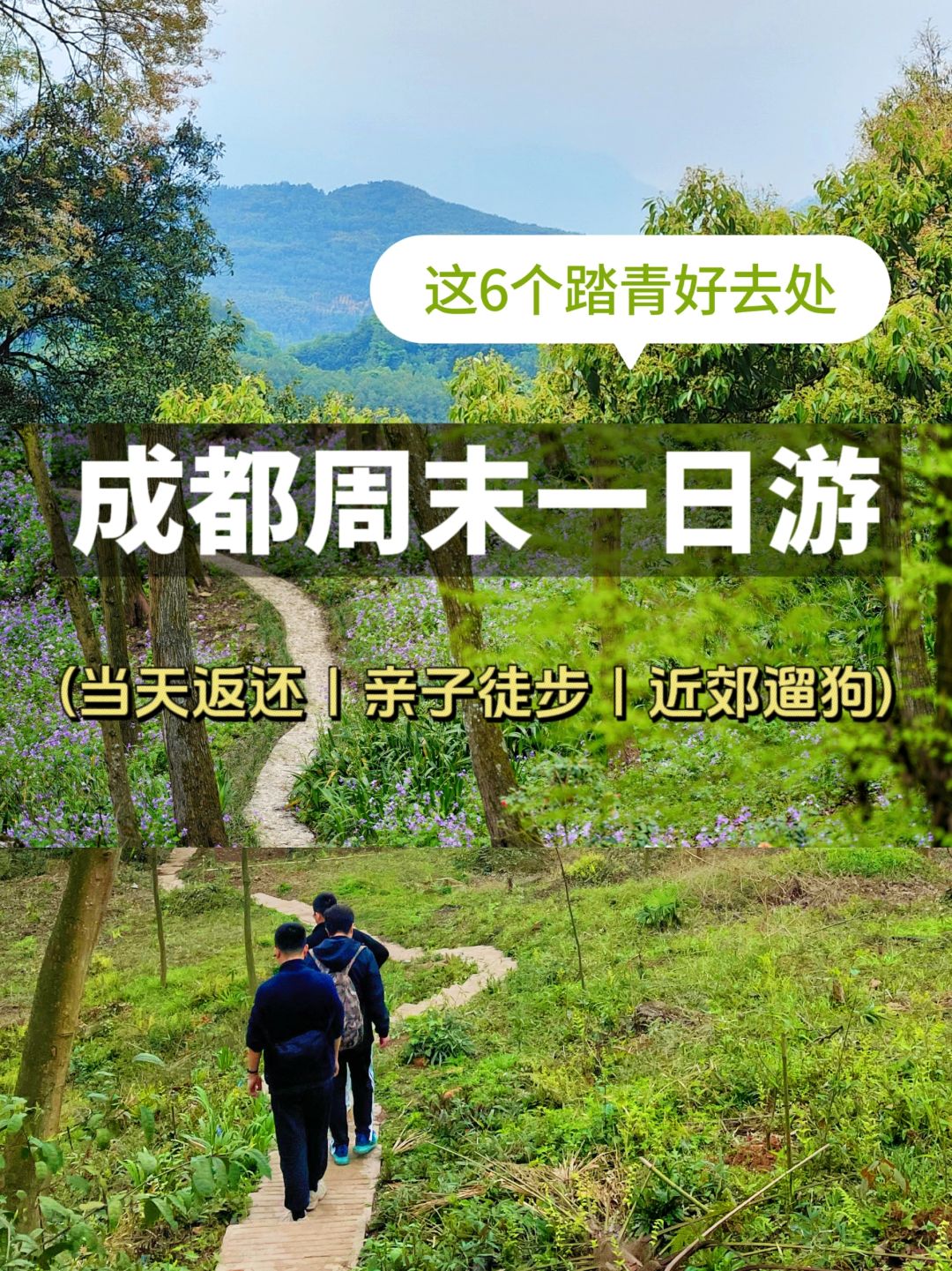 成都周末一日游‼️这6个徒步踏青的好去处
