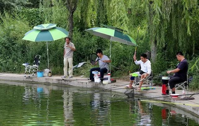 抵达塘边，微风轻拂，水面波光粼粼。我们迅速支好钓竿，挂饵、抛竿，动作一气呵成。静