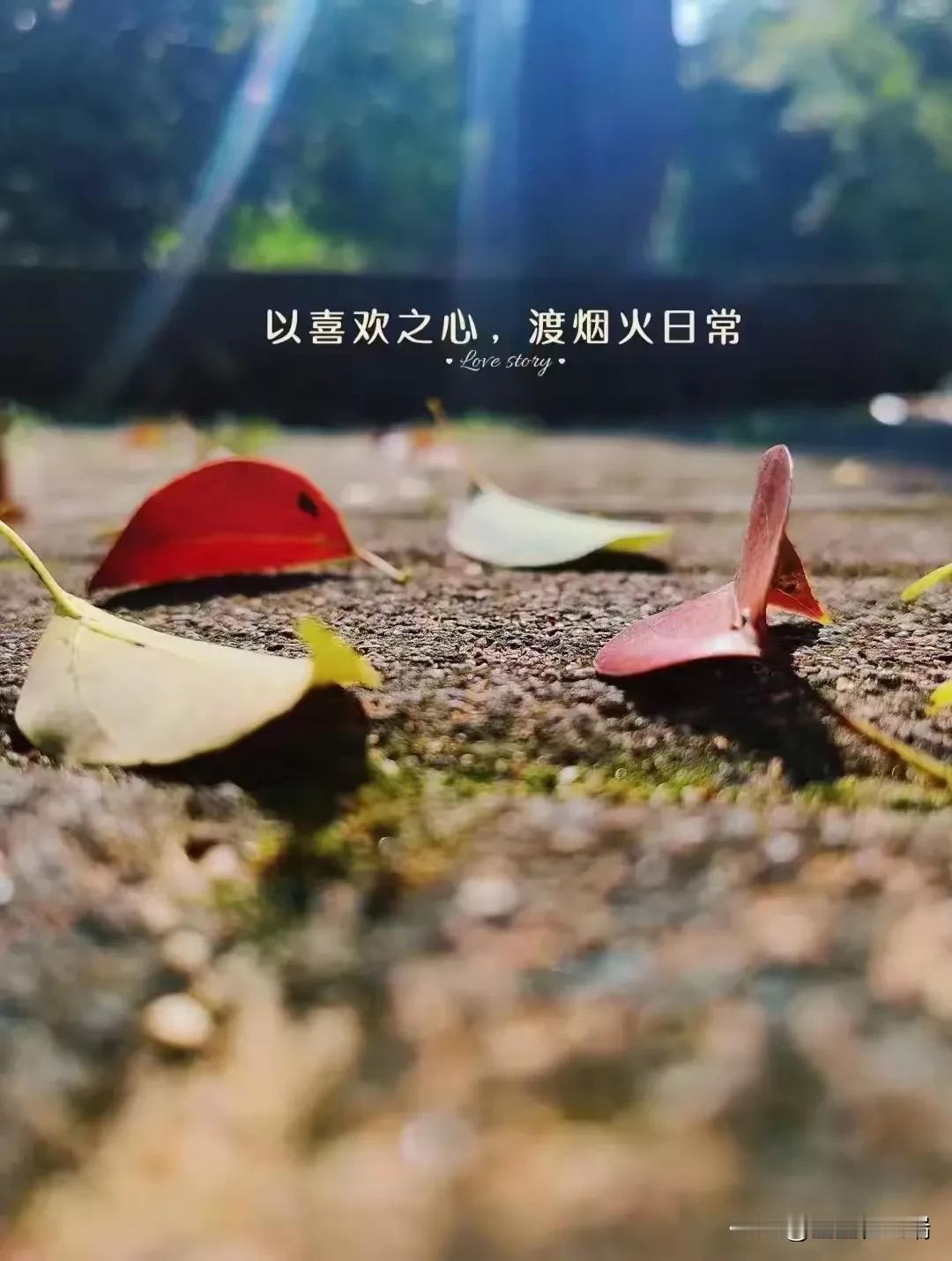 年后这段时间一直忙得不可开交，今天却突然闲了下来。这种突如其来的空闲让我感觉有些