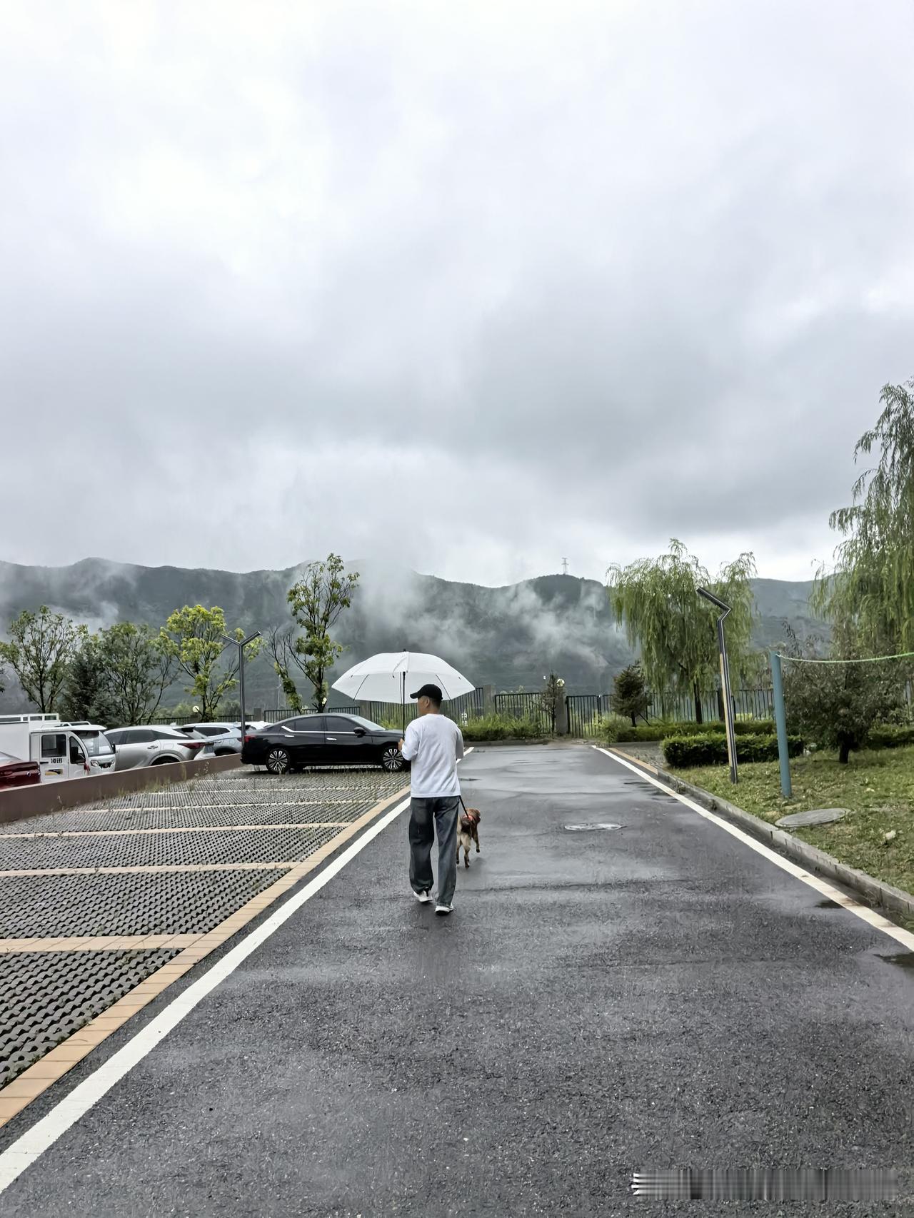 北京虽然有的地方下了雨，但依然如同一个大蒸笼一样，呜呜嘟嘟黏黏糊糊
来到250公