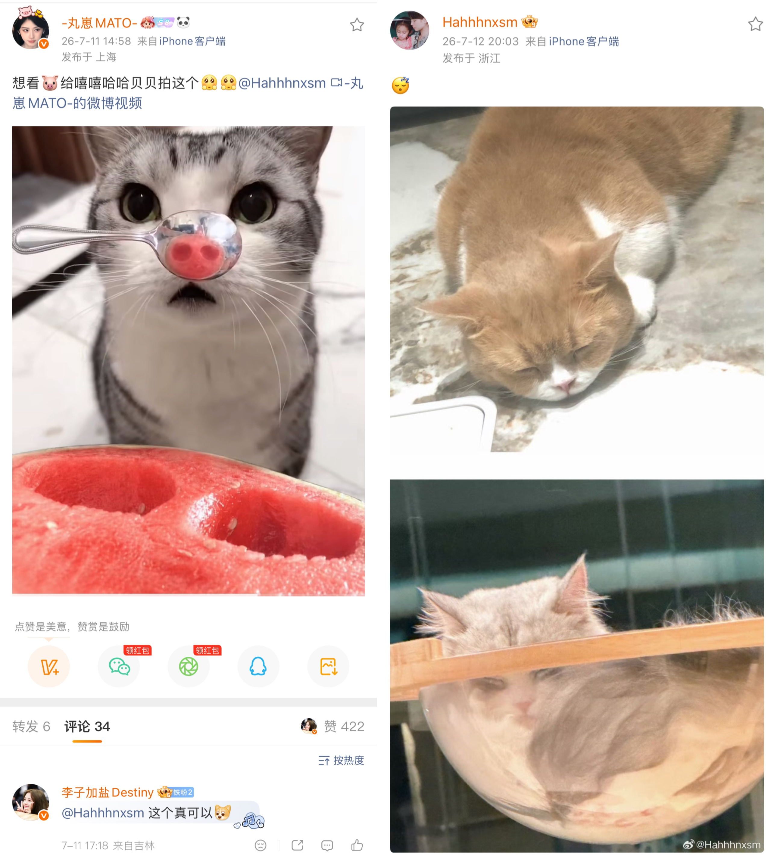 鞠婧祎 虽然但是，这怎么不算许愿成功呢