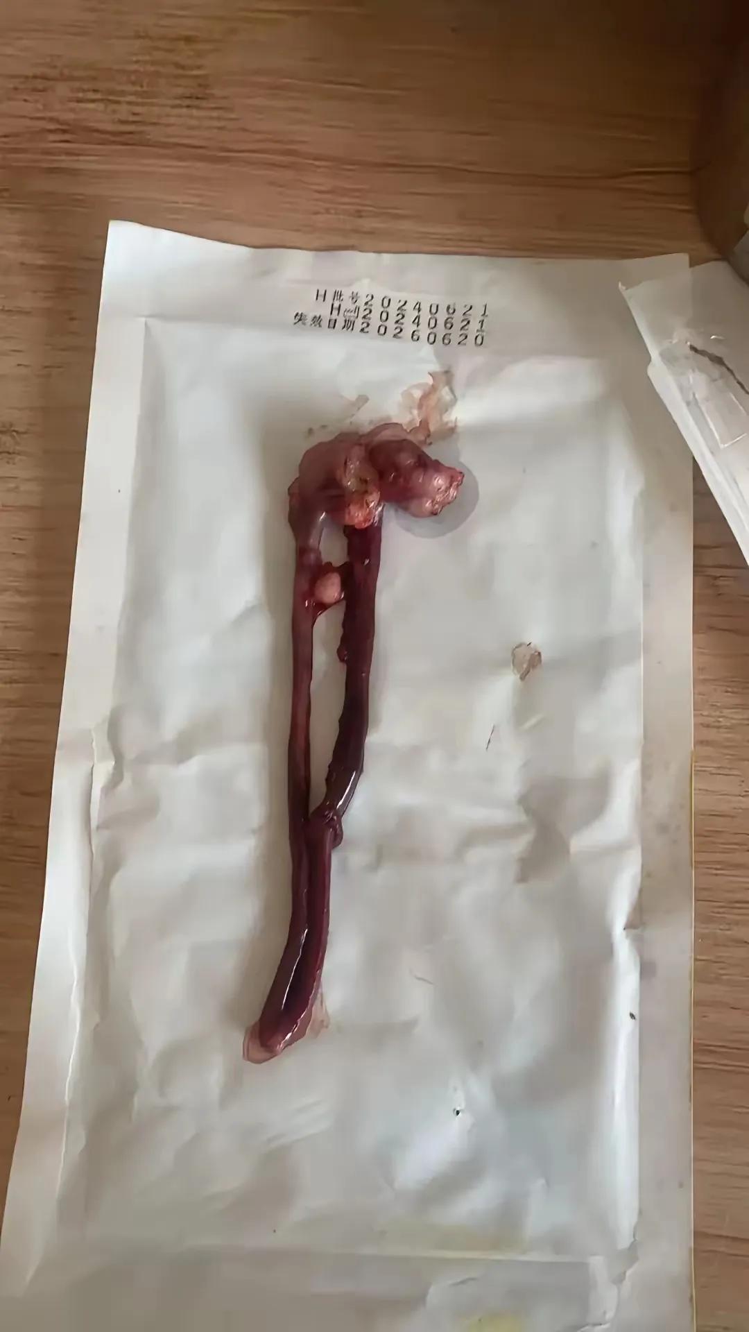 一朋友发过来让我猜猜是什么，我不知道，跪求头条各位大神帮忙鉴定一下#晒出自家的宝