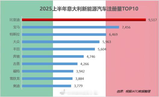 一直挺认可迪厂的海外发展的，（主要是比较认可铁娘子~）所以上半年给了一份比亚迪销