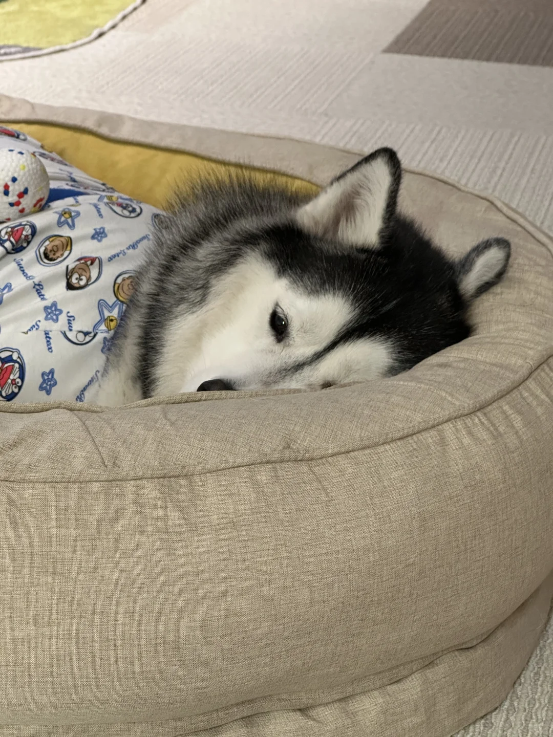 宝宝 你是一个软软香香的小面包