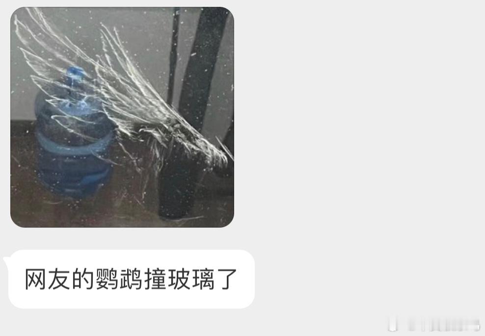 玻璃上留下了鸟类羽毛上的羽粉 ​​​