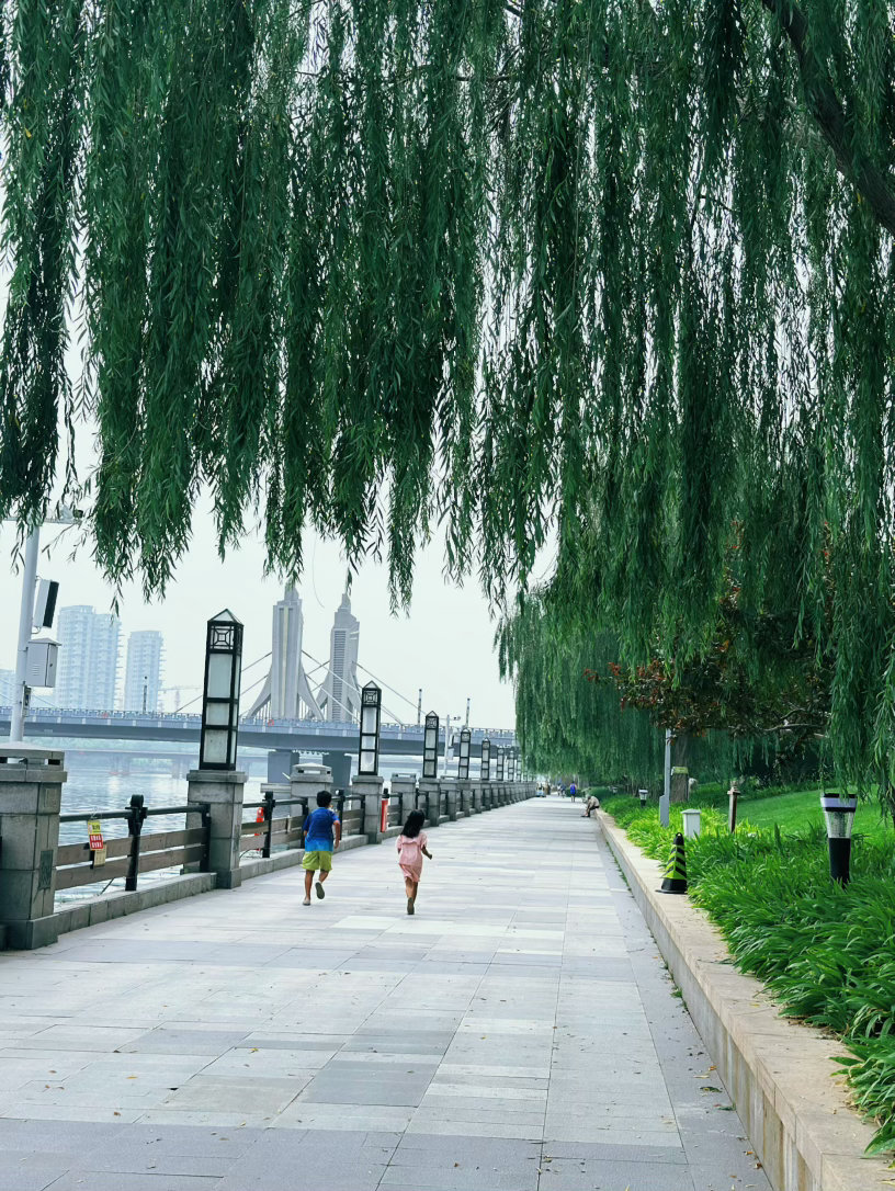 早上吃早饭我说带兄妹俩来运河边运动运动，运动完要喝奶茶，又补回来了