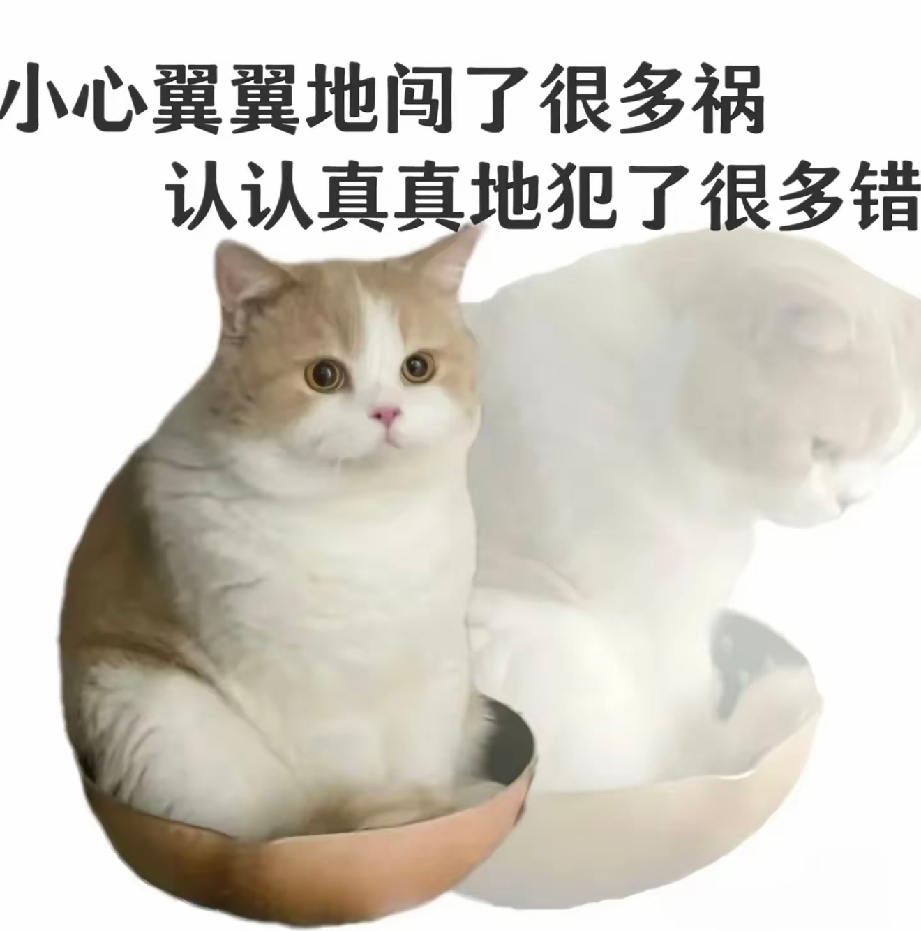 之前发了一条告别铁，但令我没想到的是同担们的极力挽留，说实话我很意外，我惹哭一帮