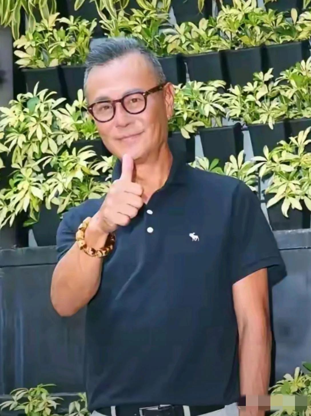 72岁的刘德凯依旧胖瘦合度，发型拉风，朗目疏眉，英姿昂藏呀，真的是帅了一辈子！