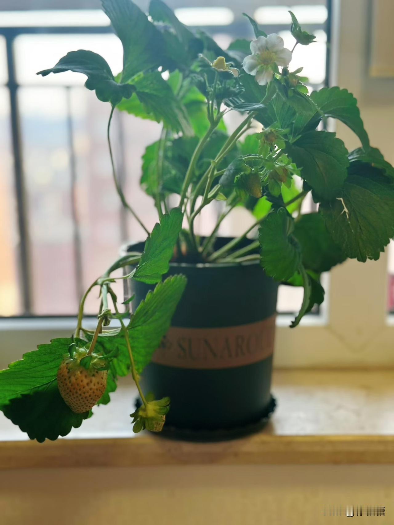 没有信仰生而为人的最大损失。
因为我们执着的一切都会失去，父母、儿女、金钱、地位