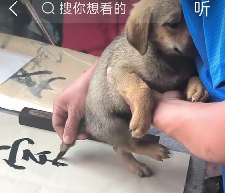 这个问题必须求助网友了。
这字写的真没毛病，
必须裱起来挂中堂。
要是家里来了客