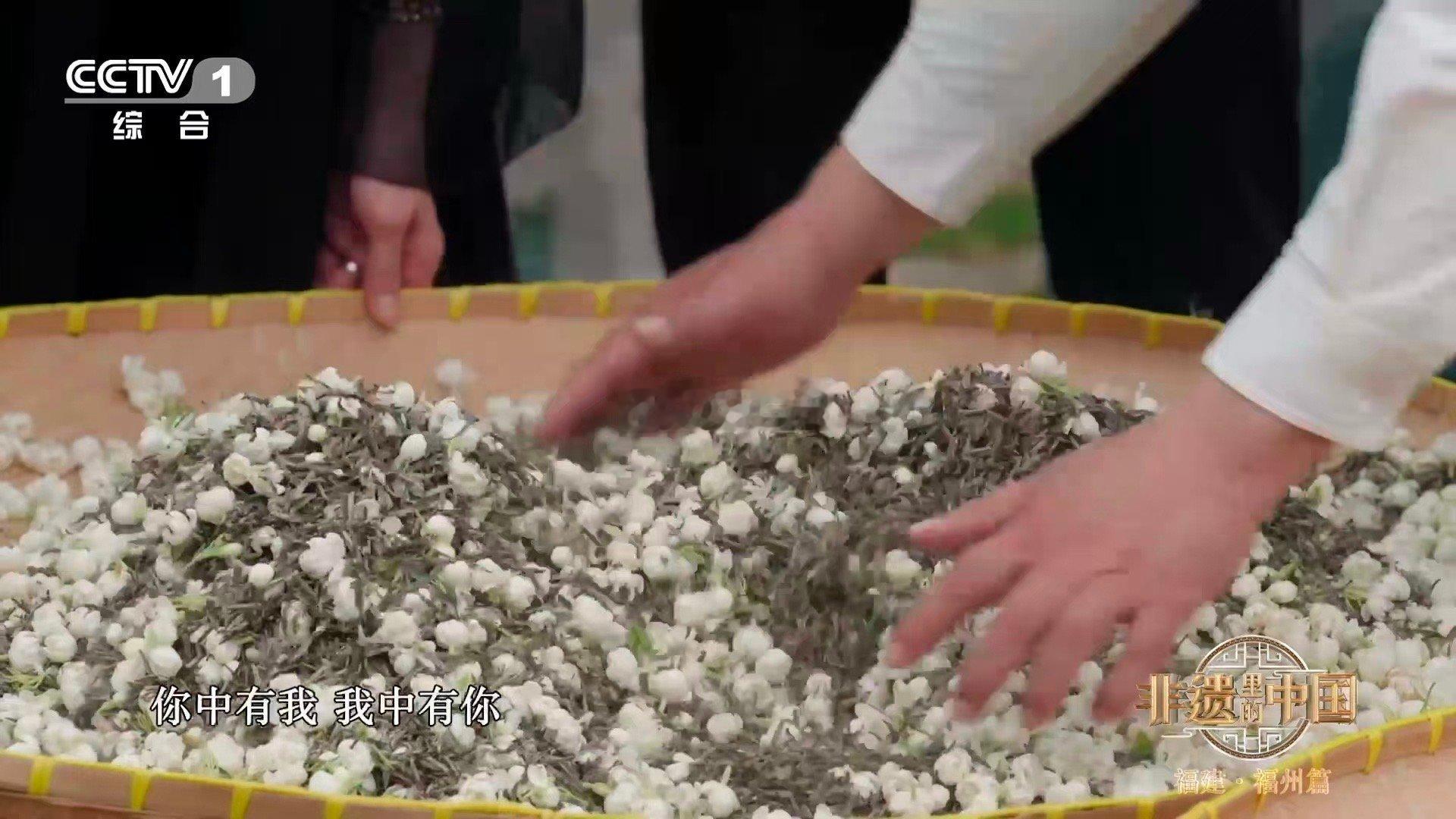 原来茉莉花也是夜猫子真正的芬芳从不在白日喧哗。茉莉选择在夜晚绽放，让香气在寂静中