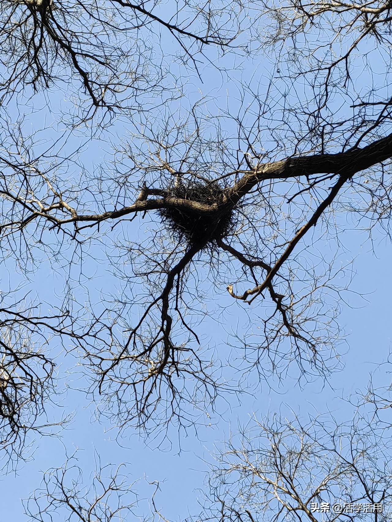 会来事的好处。晚上睡不着，突然想起我刚参加工作时，经历的一个事情。

我和一个同